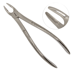 0qv6nusoa5w551z9rdlx54yp6y4lr944