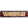 Зубы Gloria New-Ace полный гарнитур (T6, А-2,М32)