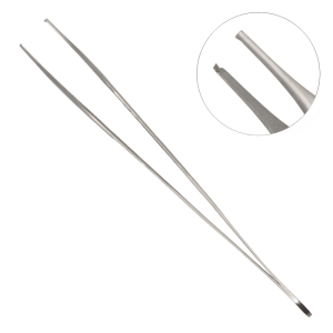 ri5gq7pkdirg3et8baaaeq8n9the9xzx