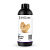 Harz Labs Dental Model Beige